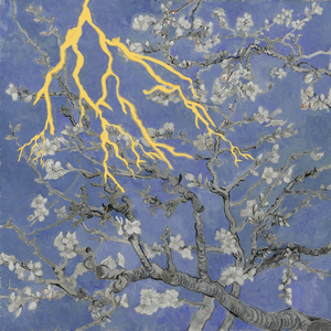 凤凰俱乐部小县城演出价格表
