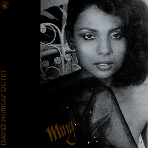 凤凰俱乐部小县城演出价格表
