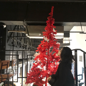 凤凰俱乐部小县城演出价格表
