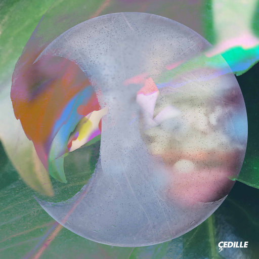 凤凰俱乐部小县城演出价格表
